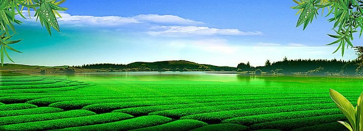 Agriculture Services